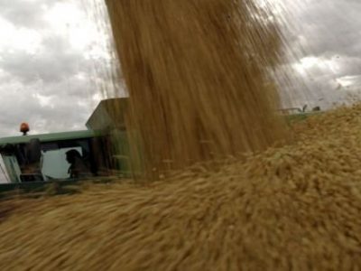 Mercado bajista no detiene el creciente stock de soja  Estadounidense