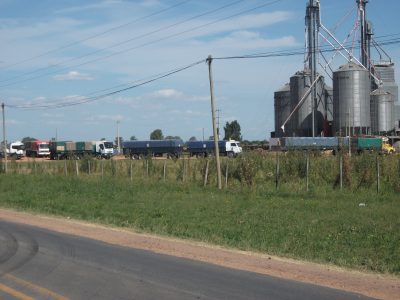 Uruguay: Stock de trigo más bajo en la historia de los registros