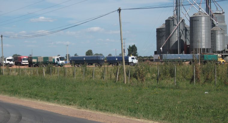 Uruguay: Stock de trigo más bajo en la historia de los registros