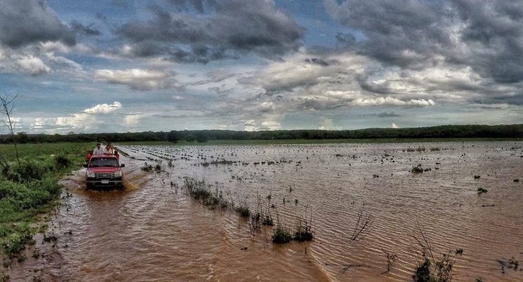 Lluvias abundantes  podrían afectar a los cultivos de trigo en Argentina