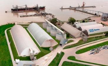 Primeras 10.000 toneladas de trigo de 2019 se exportaran