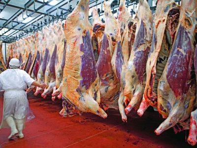 Uruguay exportó los primeros cuatro contenedores de carne vacuna a Japón