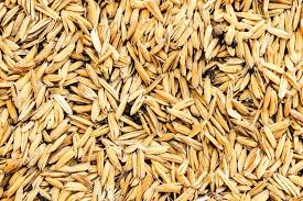 Apertura del mercado de México para arroz con cáscara producido en Uruguay