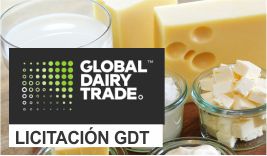 Segunda licitación de setiembre 2023 de Global Dairy Trade