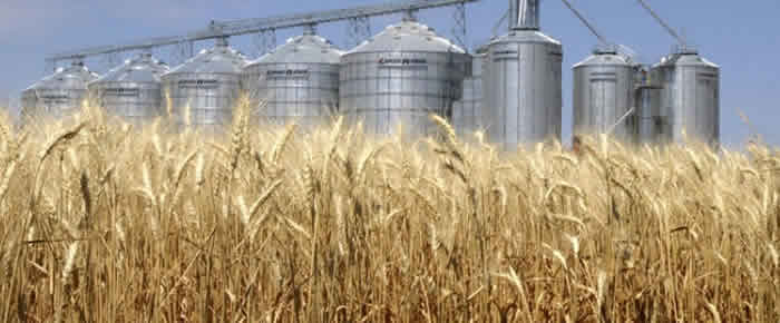 Cae levemente el stock de trigo en Marzo