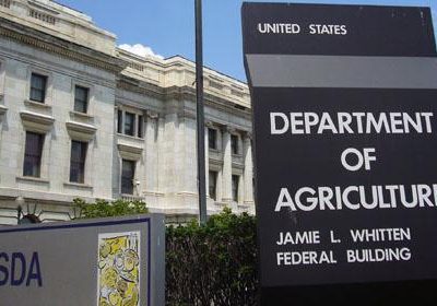 Sin grandes cambios para el trigo según el USDA