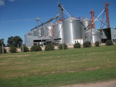 Fuerte descenso del stock de trigo en Uruguay