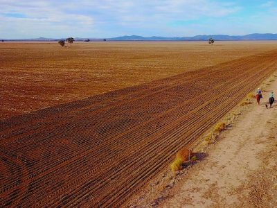 Australia importará trigo por primera vez en doce años
