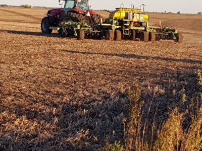 Avanza la siembra de trigo en Uruguay