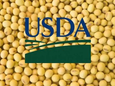 Informe Setiembre del USDA -Soja