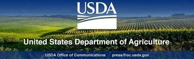 Informe USDA Mayo 2021
