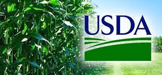 Informe Setiembre del USDA -Maíz