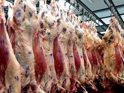 Exportaciones de carnes uruguayas aumentaron 7,9 % este año.