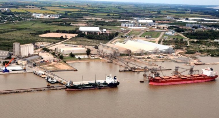 Exportaciones de trigo en enero retrocedieron en Uruguay