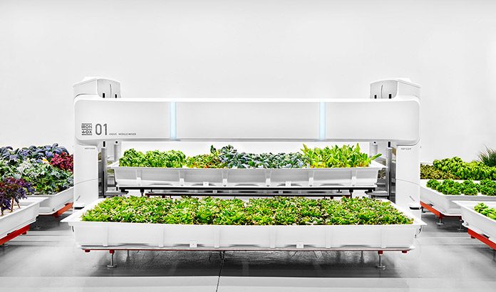 El futuro de la agricultura industrial en base a Robots granjeros