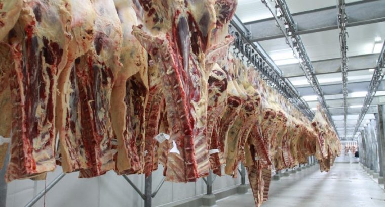 Señales de recuperación muestran importaciones de carnes Chinas