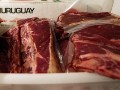 Europa reduce la demanda de carne al mínimo
