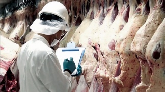 Exportaciones Argentinas de carne vacuna julio 2020