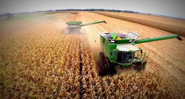Auge del maíz con un clima amenazante en EE.UU