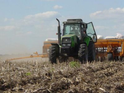 Proyectan caída para la siembra de maíz en Argentina