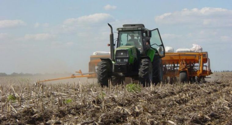 Proyectan caída para la siembra de maíz en Argentina