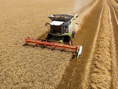 Criadores rusos preocupados por subas de los cereales