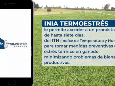 INIA lanzó la aplicación móvil “INIA Termoestrés”