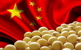 Compras de commodities de China son récord a pesar de la pandemia