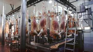 Nuevo pronóstico del USDA sin cambio para las carnes