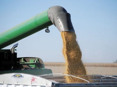 Brasil negocia importantes volúmenes de soja