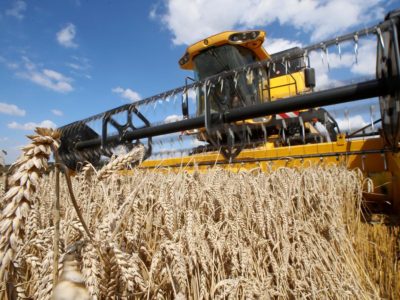 Argentina  quiere un nuevo récord de producción de trigo