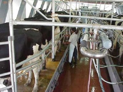 Crecen las importaciones chinas de lácteos