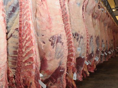 Se rehabilitaron dos Frigoríficos para exportar carne bovina sin hueso a EEUU