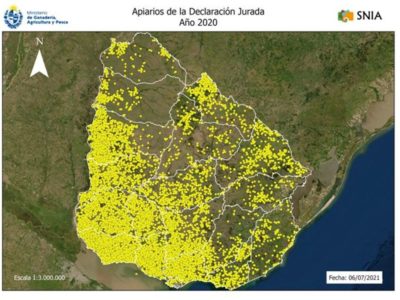 Distribución de las colmenas en el Uruguay