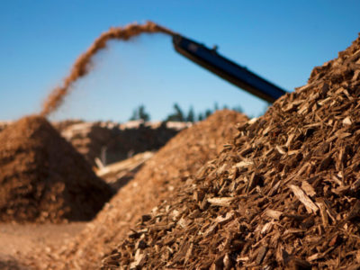 Uruguay cuenta con ventajas para la producción de biomasa