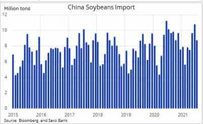 China: Las importaciones de soja disminuyen en julio