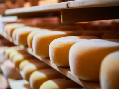 Mundial de quesos participan 6 empresas Uruguayas