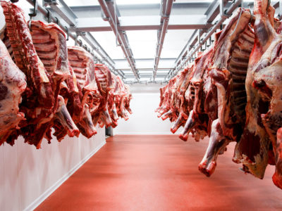 Las exportaciones de carne argentinas cayeron en Octubre