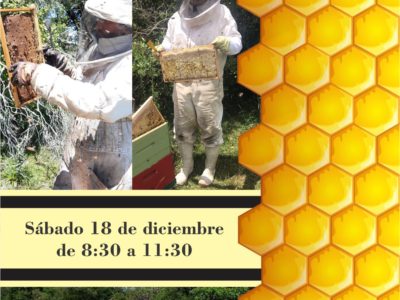 Manejo de apiarios en la eco-región de Sierras del Este