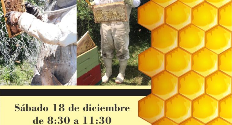 Manejo de apiarios en la eco-región de Sierras del Este