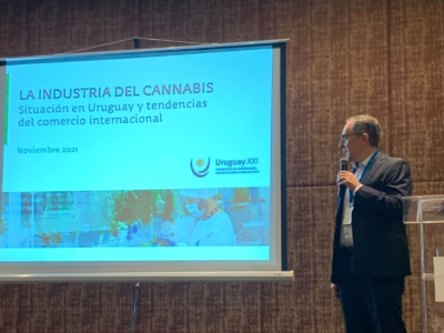 La Industria del Cannabis se fortalece  en Uruguay