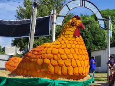 La producción avícola uruguaya cuenta con excelentes perspectivas