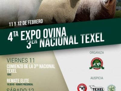 4ª  Expo Ovina y Expo Nacional Texel