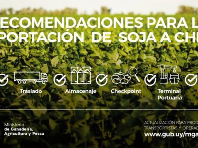 MGAP exhorta a extremar cuidados para evitar contaminación de cosecha de soja