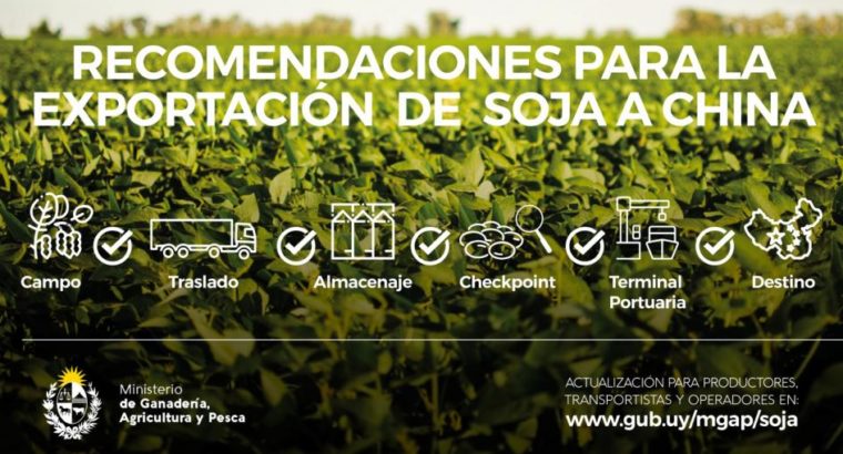 MGAP exhorta a extremar cuidados para evitar contaminación de cosecha de soja