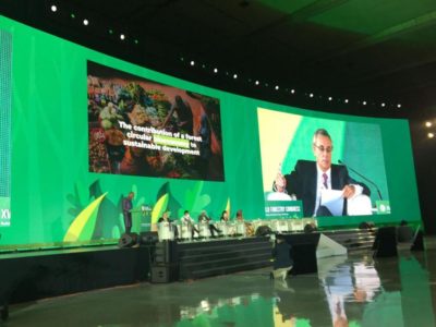 Director general Forestal participó del Congreso Forestal Mundial