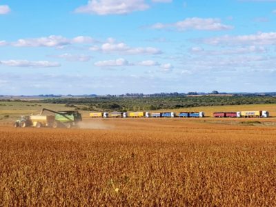 Precios sugeridos de labores agrícolas en Uruguay