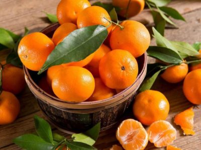 Vietnam abre su mercado a las mandarinas uruguayas