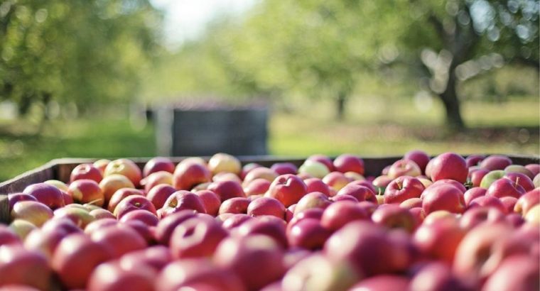 El 1° de Junio inicia el Registro Nacional FrutiHortícola