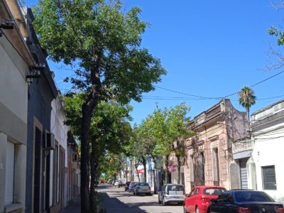 Capacitación sobre arbolado urbano en San José